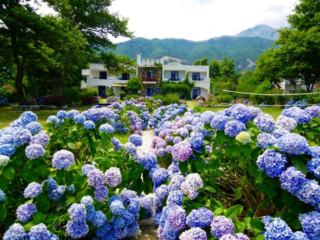Archondissa Beach Aparthotel Therma (Samothraki) Exterior foto