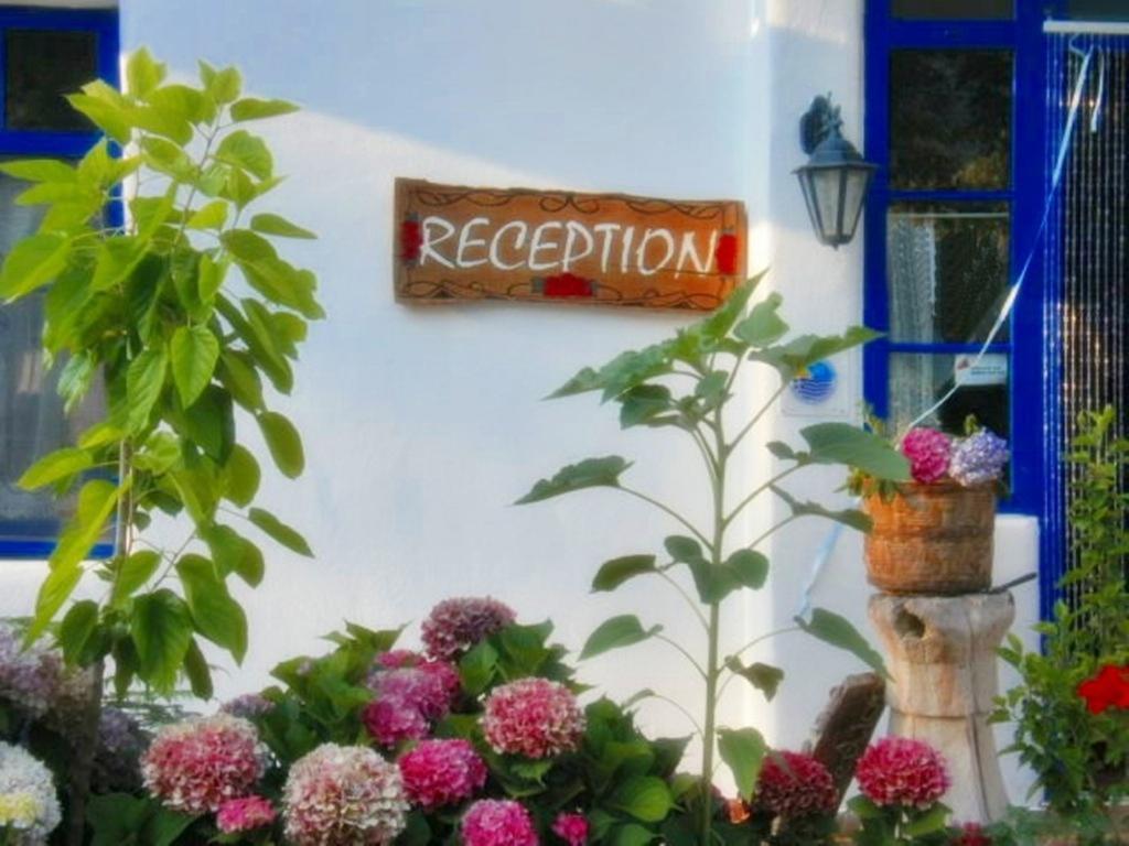 Archondissa Beach Aparthotel Therma (Samothraki) Exterior foto