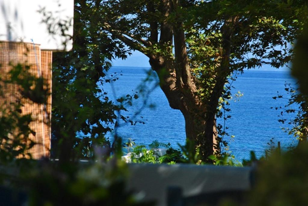 Archondissa Beach Aparthotel Therma (Samothraki) Exterior foto